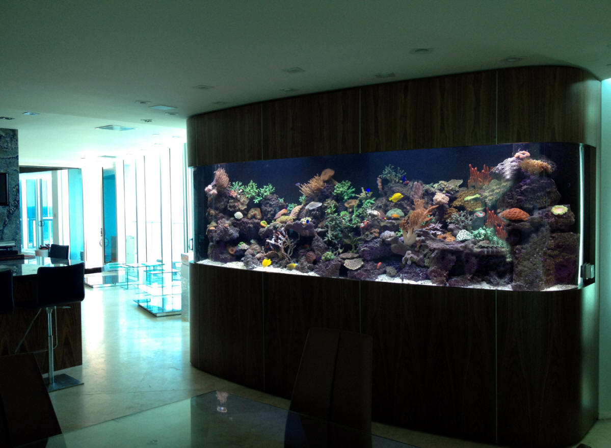 High End Custom Aquariums SeaVisions of South Florida